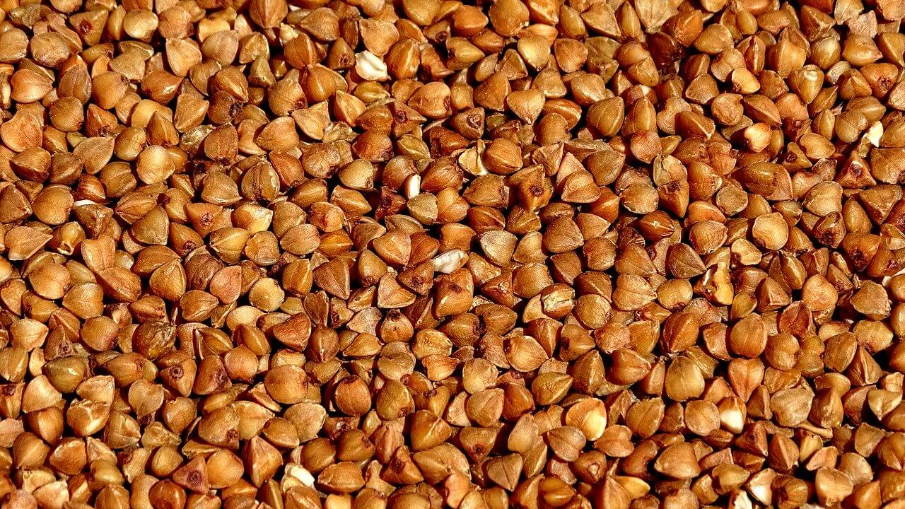 wheat vs buckwheat