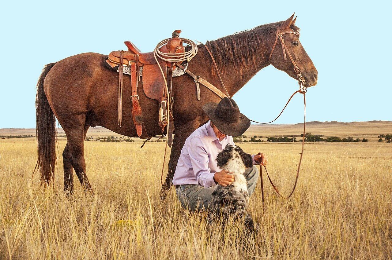why should you become a cattle rancher