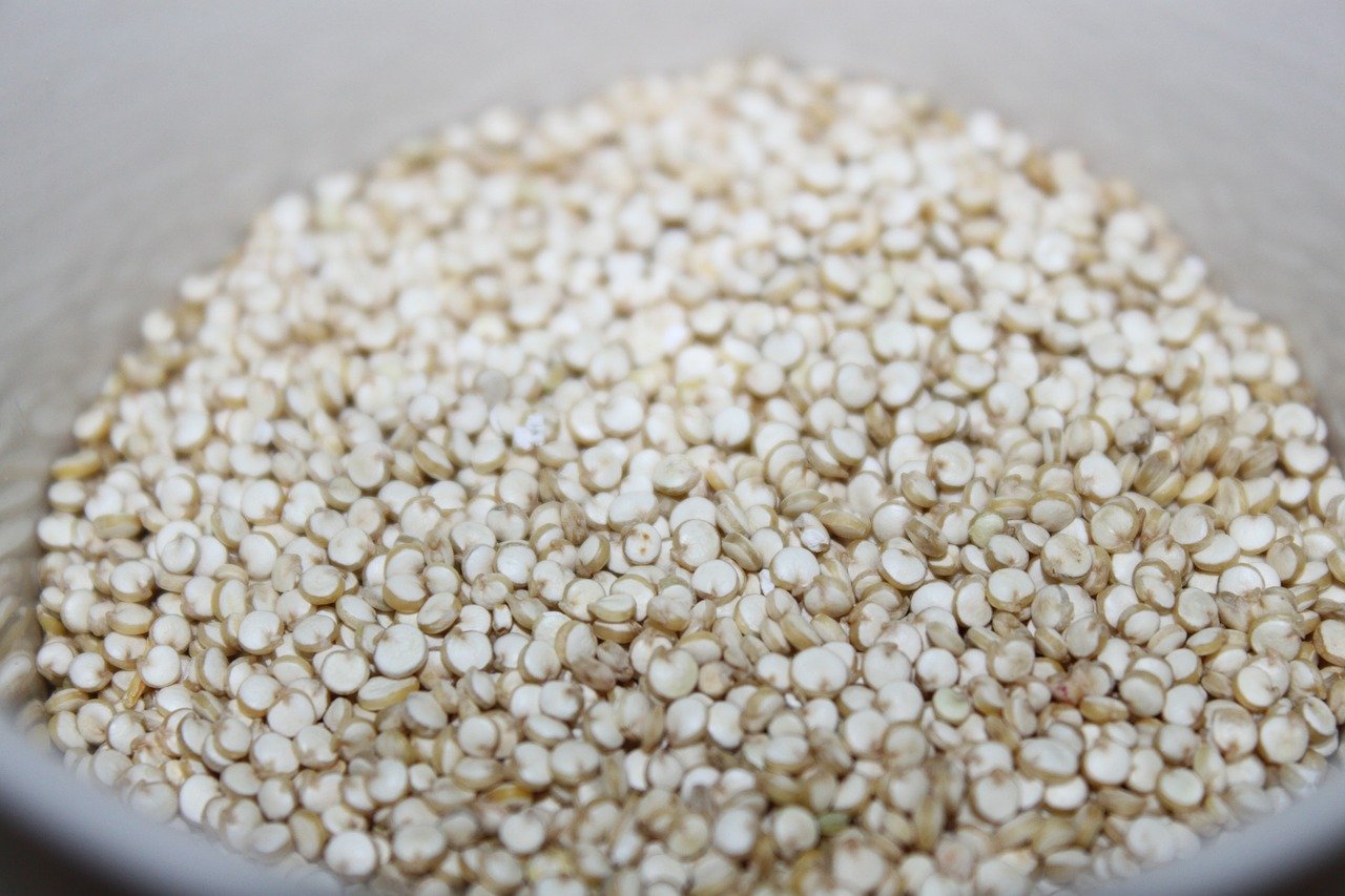 why sprout quinoa