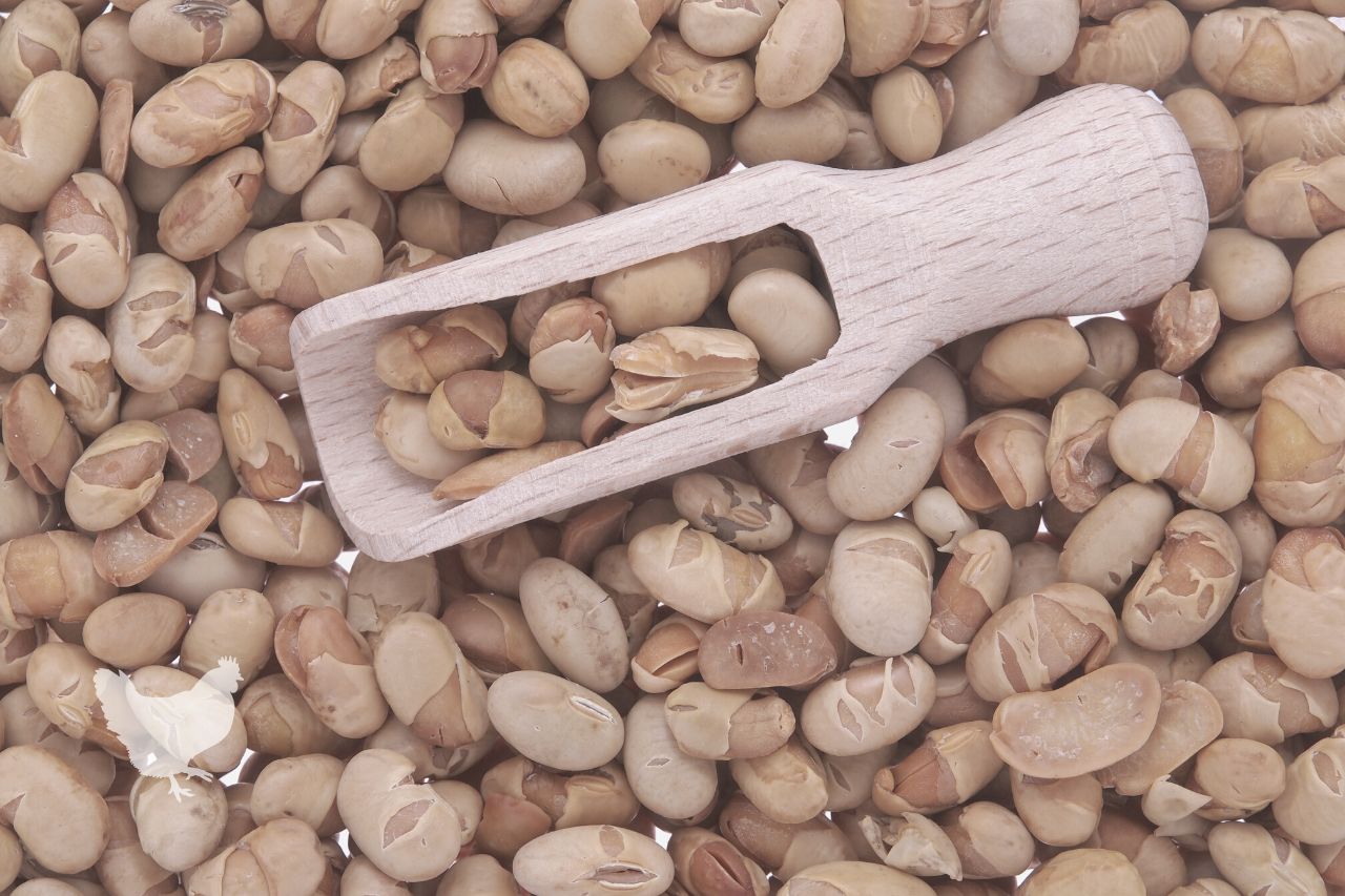 how to roast soybeans Frequently Asked Questions