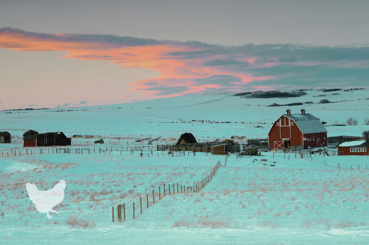 how to maintain a farm during the winter Frequently Asked Questions