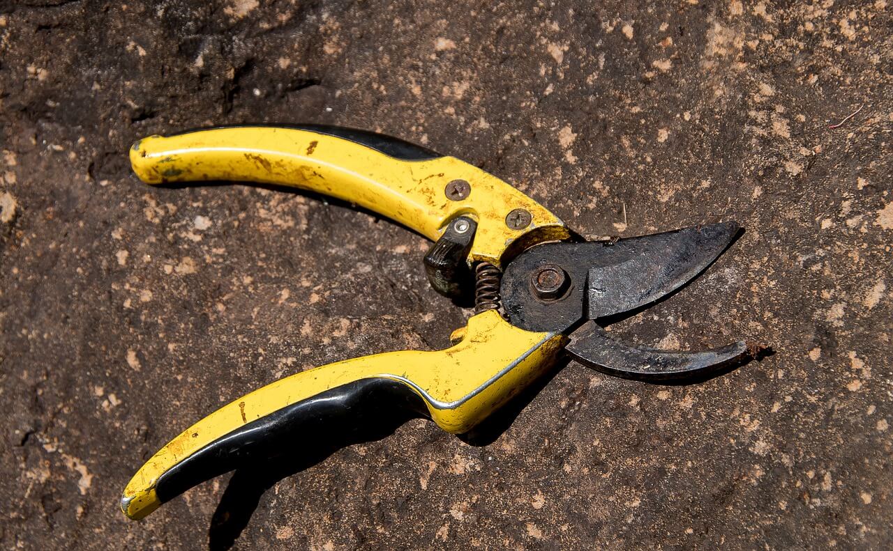 What are Secateurs Used For