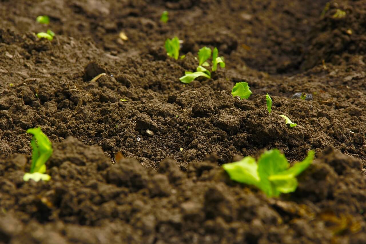 What Does Good Farm Soil Contain