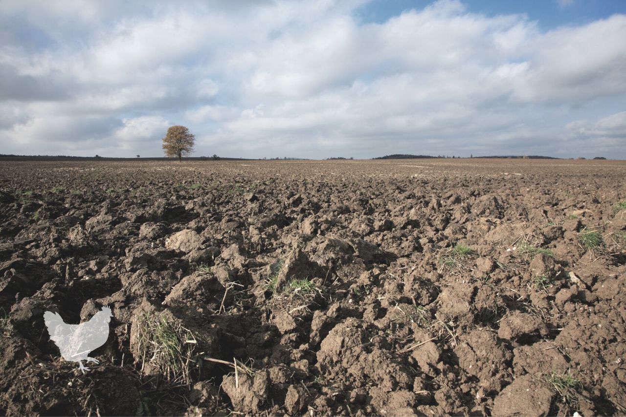 how to amend clay soil in farm Frequently Asked Questions