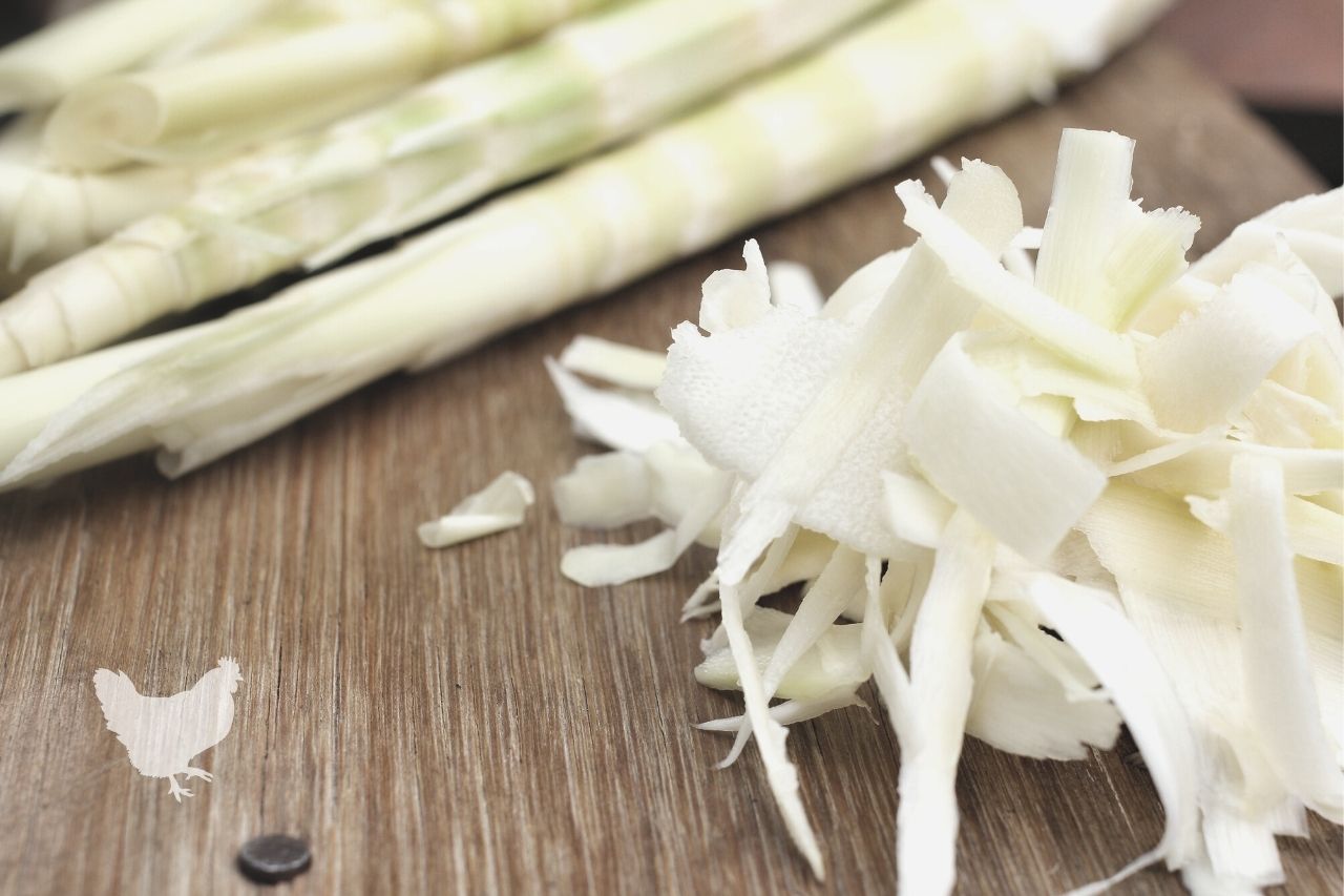 Are Raw Bamboo Shoots Poisonous