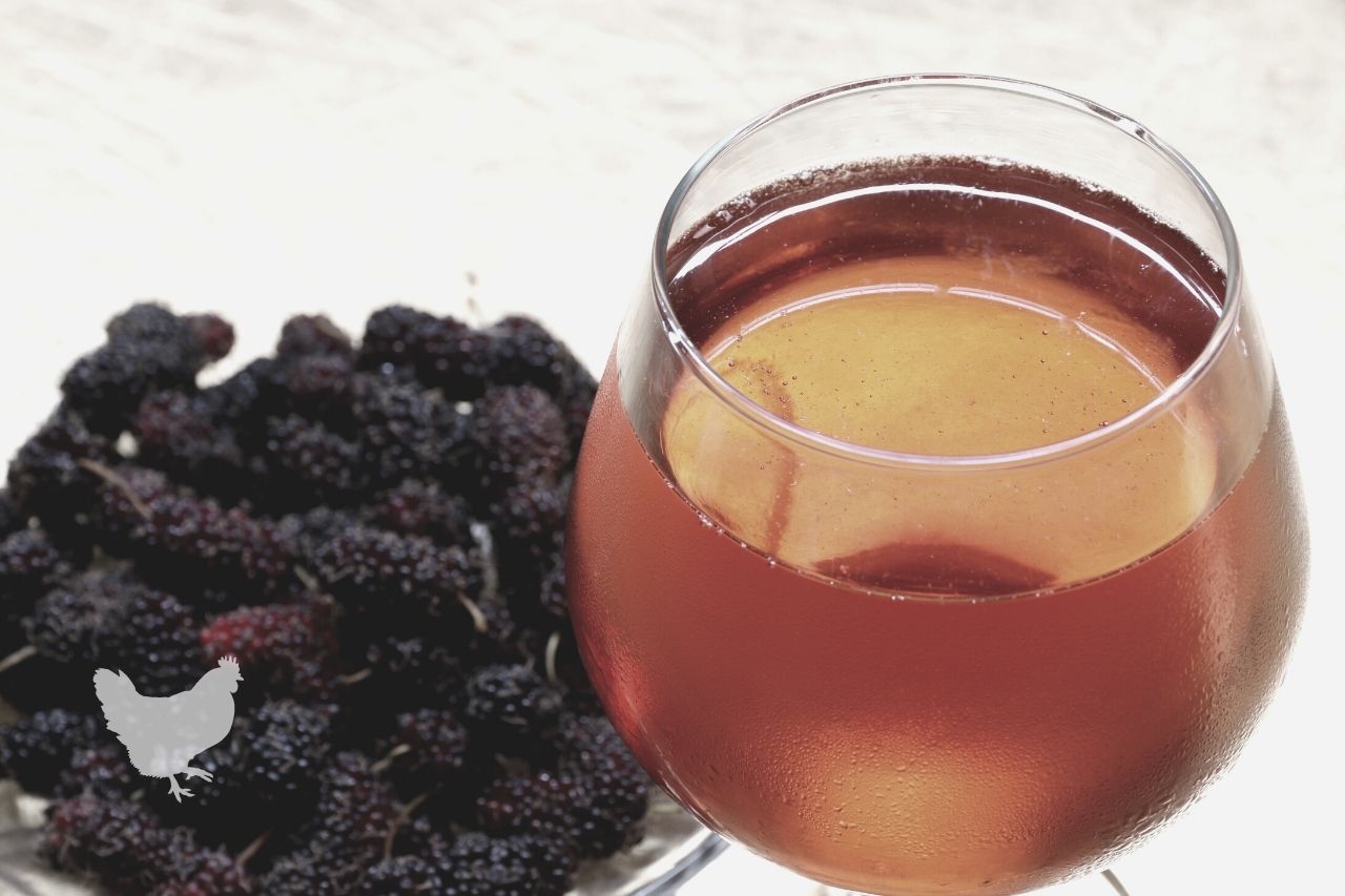 Are Mulberries Good For Wine