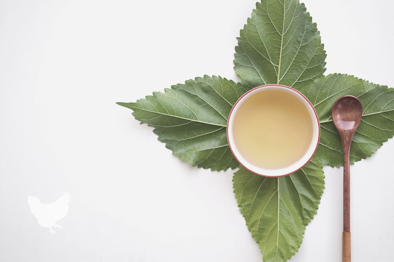 How To Prepare Mulberry Leaf Tea