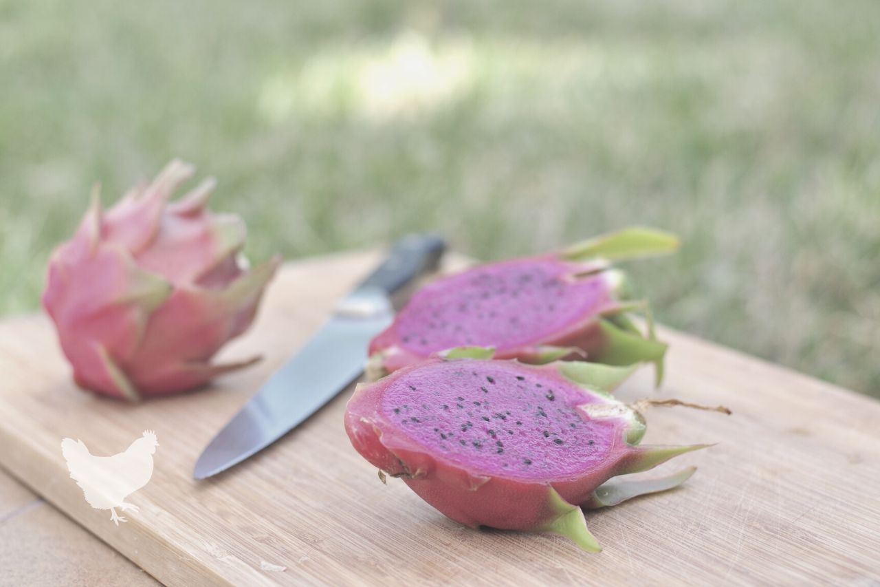 Recipes For Using Dragon Fruit Skin As A Natural Dye