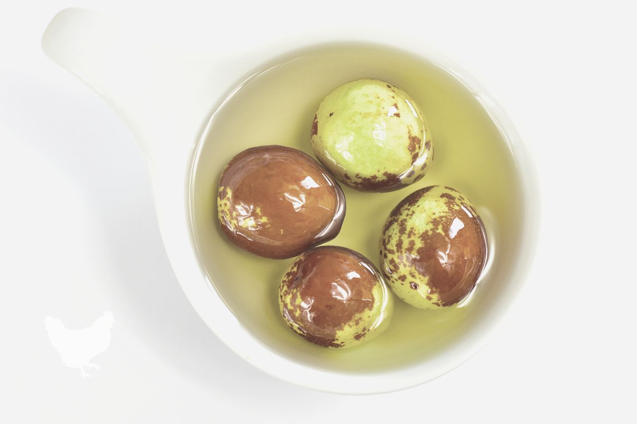 Can You Make Jujube Oil At Home?
