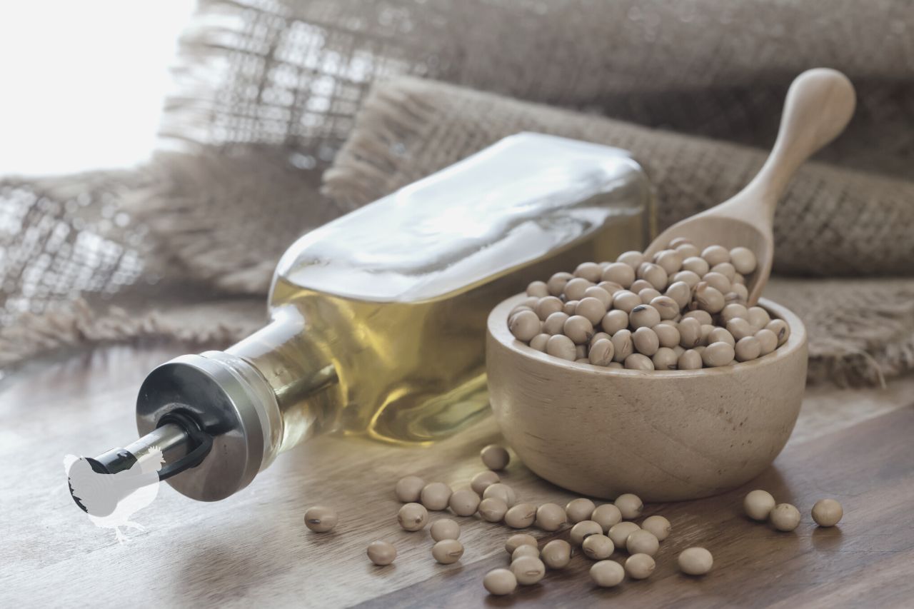 how to extract oil from soybeans Frequently Asked Questions