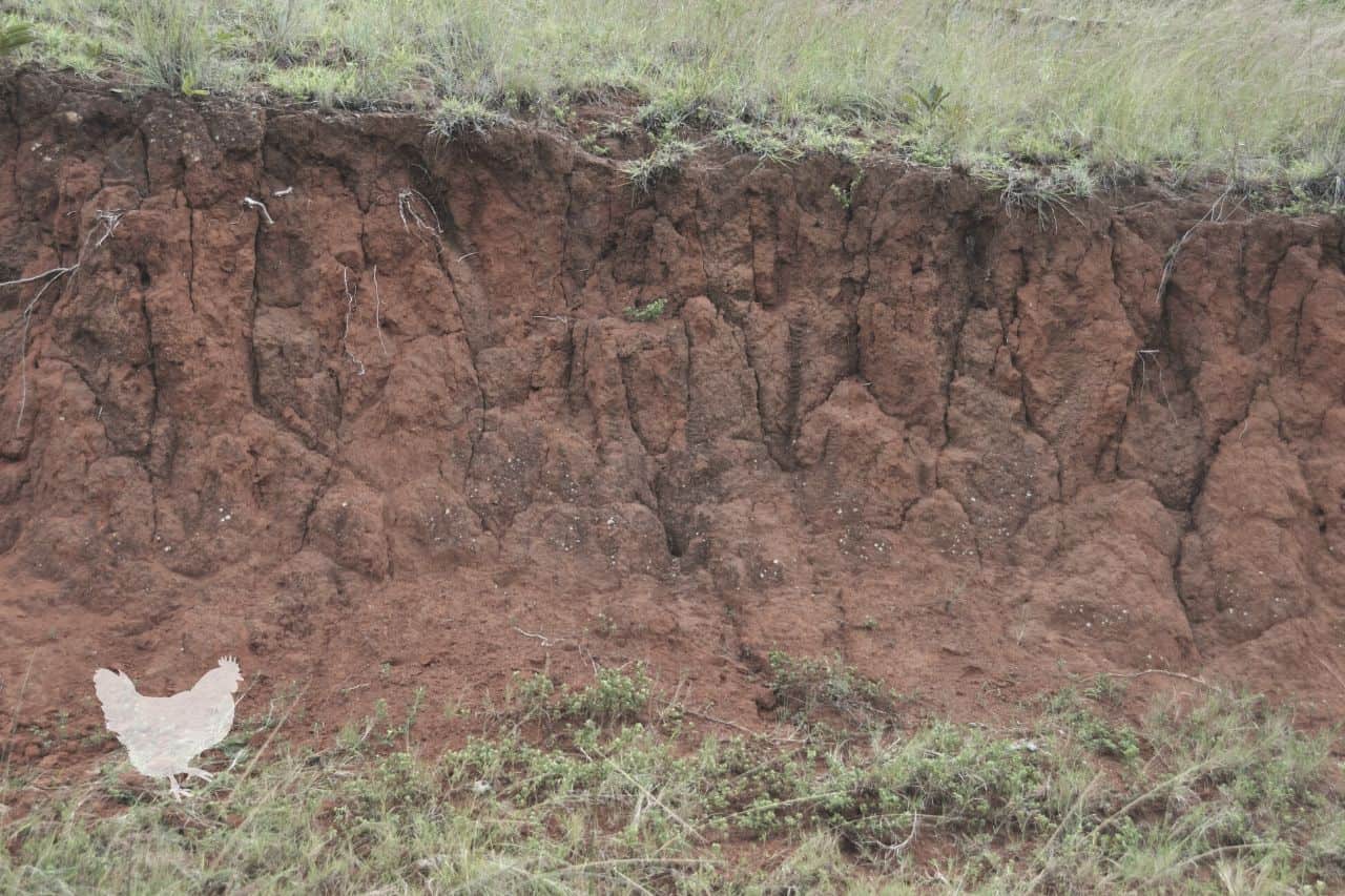 what can farmers do to reduce soil erosion